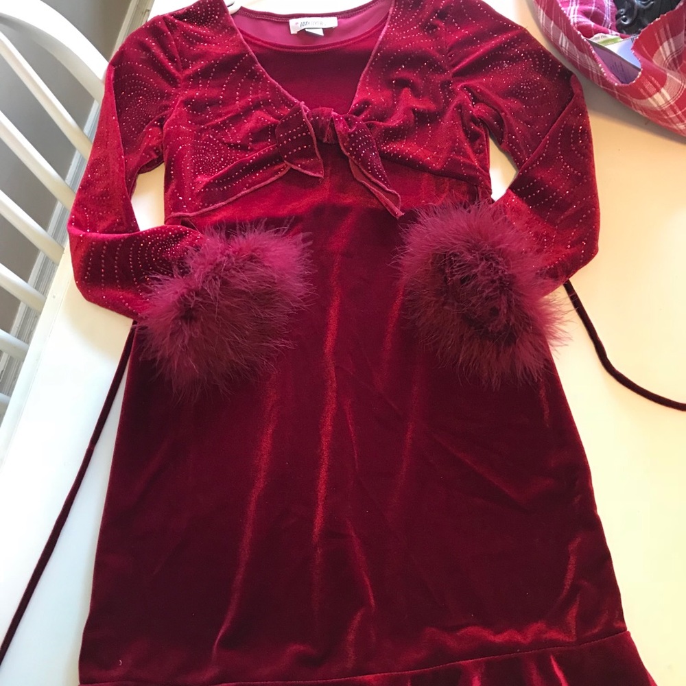 1Day only Sale! Gorg. Holiday Dress Sz10 lil girl